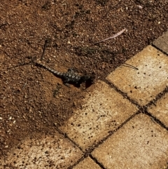 Unverified at suppressed - suppressed