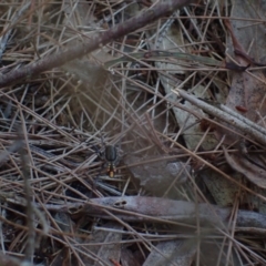 Unverified at suppressed - suppressed