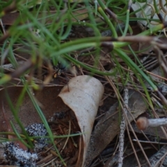 Unverified at suppressed - suppressed