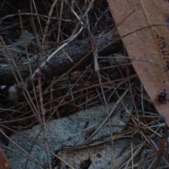 Unverified at suppressed - suppressed