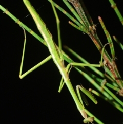 Unverified at suppressed - suppressed