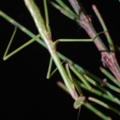 Unverified at suppressed - suppressed