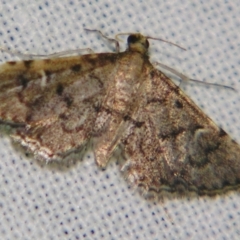 Metasia capnochroa (Smokey Metasia Moth) at Sheldon, QLD - 22 Sep 2007 by PJH123