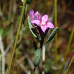 Unidentified at suppressed - 28 Sep 2023