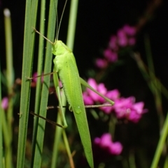 Unverified at suppressed - suppressed