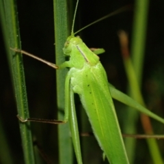 Unverified at suppressed - suppressed