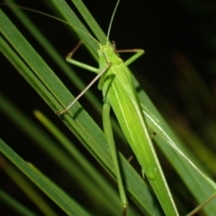 Unverified at suppressed - suppressed