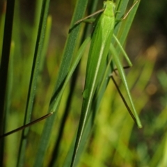 Unidentified at suppressed - 28 Sep 2023