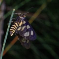 Unidentified at suppressed - 28 Sep 2023