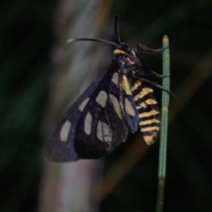 Unverified at suppressed - suppressed