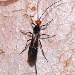 Unverified at suppressed - suppressed