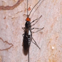 Unverified at suppressed - suppressed