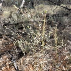 Unverified at suppressed - suppressed