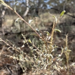 Unverified at suppressed - suppressed