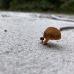 Unverified at suppressed - suppressed