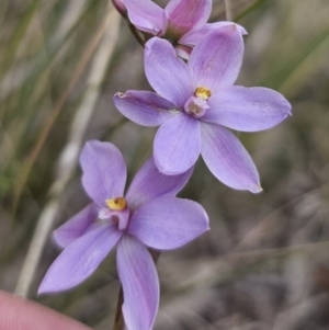 Unverified at suppressed - suppressed