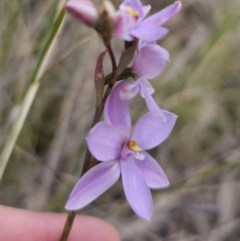 Unverified at suppressed - suppressed