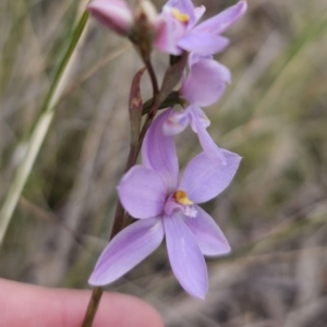 Unverified at suppressed - suppressed