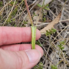 Unverified at suppressed - suppressed