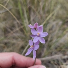 Unverified at suppressed - suppressed