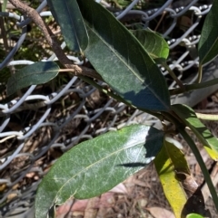 Unverified at suppressed - suppressed