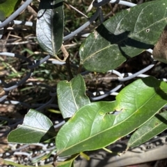 Unverified at suppressed - suppressed