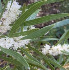 Unverified at suppressed - suppressed