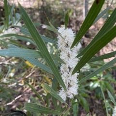 Unverified at suppressed - suppressed