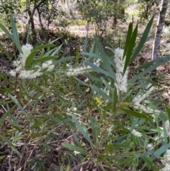 Unverified at suppressed - suppressed