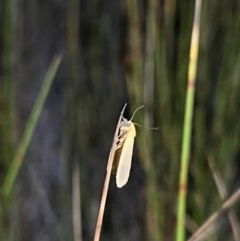 Unverified at suppressed - suppressed