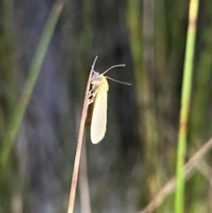 Unverified at suppressed - suppressed