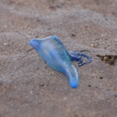 Unverified at suppressed - suppressed