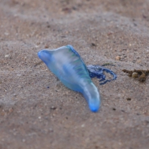 Unverified at suppressed - suppressed