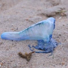 Unverified at suppressed - suppressed