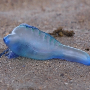 Unverified at suppressed - suppressed