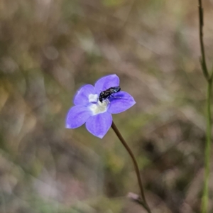 Unidentified at suppressed - 6 Nov 2023