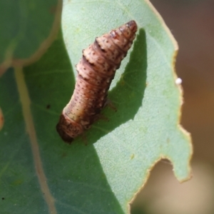 Unidentified at suppressed - 6 Nov 2023