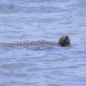 Unverified at suppressed - suppressed