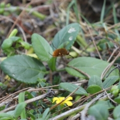 Unverified at suppressed - suppressed