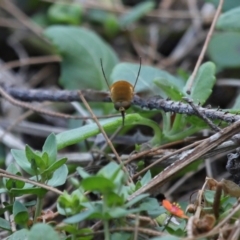 Unverified at suppressed - suppressed