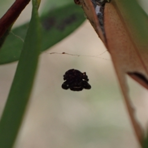 Unidentified at suppressed - 16 Nov 2023