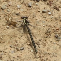 Unidentified at suppressed - 20 Nov 2023