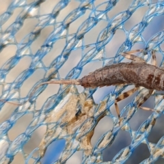 Unverified at suppressed - suppressed