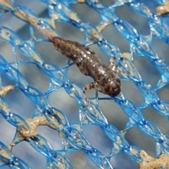 Unverified at suppressed - suppressed