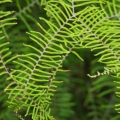 Unverified at suppressed - suppressed