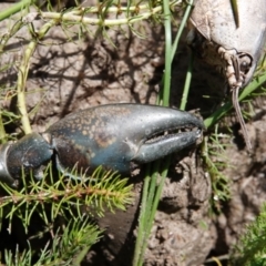 Unverified at suppressed - suppressed