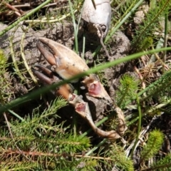 Unverified at suppressed - suppressed