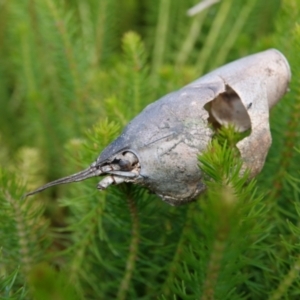 Unverified at suppressed - suppressed