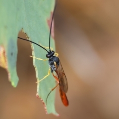 Unidentified at suppressed - 1 Dec 2023