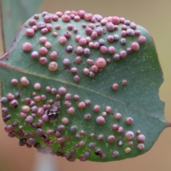 Unverified at suppressed - suppressed